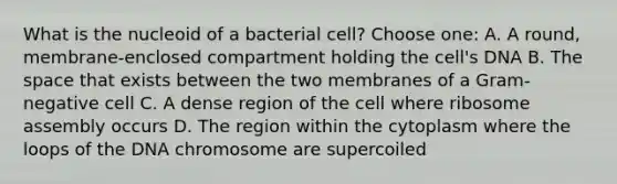 What is the nucleoid of a bacterial cell? Choose one: A. A round, membrane-enclosed compartment holding the cell's DNA B. The space that exists between the two membranes of a Gram-negative cell C. A dense region of the cell where ribosome assembly occurs D. The region within the cytoplasm where the loops of the DNA chromosome are supercoiled