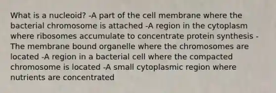 What is a nucleoid? -A part of the cell membrane where the bacterial chromosome is attached -A region in the cytoplasm where ribosomes accumulate to concentrate protein synthesis -The membrane bound organelle where the chromosomes are located -A region in a bacterial cell where the compacted chromosome is located -A small cytoplasmic region where nutrients are concentrated