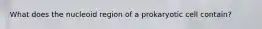 What does the nucleoid region of a prokaryotic cell contain?