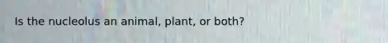 Is the nucleolus an animal, plant, or both?