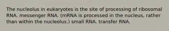 The nucleolus in eukaryotes is the site of processing of <a href='https://www.questionai.com/knowledge/k4lWAiAI7W-ribosomal-rna' class='anchor-knowledge'>ribosomal rna</a>. <a href='https://www.questionai.com/knowledge/kDttgcz0ig-messenger-rna' class='anchor-knowledge'>messenger rna</a>. (mRNA is processed in the nucleus, rather than within the nucleolus.) small RNA. <a href='https://www.questionai.com/knowledge/kYREgpZMtc-transfer-rna' class='anchor-knowledge'>transfer rna</a>.