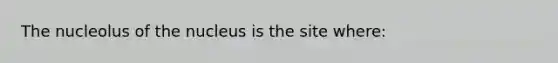 The nucleolus of the nucleus is the site where: