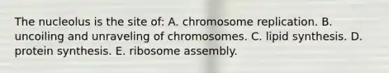 The nucleolus is the site of: A. chromosome replication. B. uncoiling and unraveling of chromosomes. C. lipid synthesis. D. protein synthesis. E. ribosome assembly.