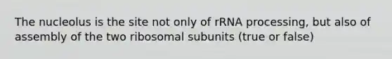 The nucleolus is the site not only of rRNA processing, but also of assembly of the two ribosomal subunits (true or false)