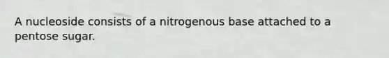 A nucleoside consists of a nitrogenous base attached to a pentose sugar.