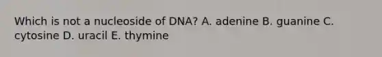 Which is not a nucleoside of DNA? A. adenine B. guanine C. cytosine D. uracil E. thymine