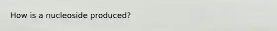 How is a nucleoside produced?