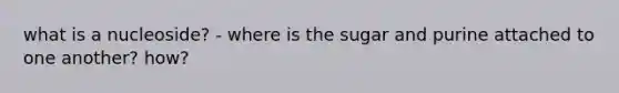 what is a nucleoside? - where is the sugar and purine attached to one another? how?