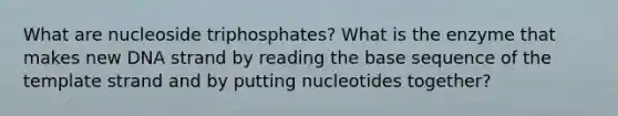 What are nucleoside triphosphates? What is the enzyme that makes new DNA strand by reading the base sequence of the template strand and by putting nucleotides together?