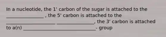 In a nucleotide, the 1' carbon of the sugar is attached to the ________________ , the 5' carbon is attached to the _____________________ ________________, the 3' carbon is attached to a(n) _______________________________- group