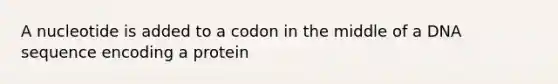 A nucleotide is added to a codon in the middle of a DNA sequence encoding a protein