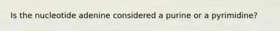 Is the nucleotide adenine considered a purine or a pyrimidine?