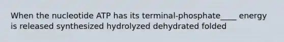 When the nucleotide ATP has its terminal-phosphate____ energy is released synthesized hydrolyzed dehydrated folded