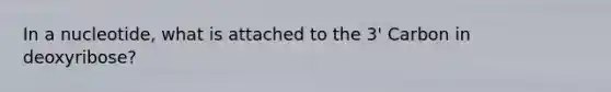 In a nucleotide, what is attached to the 3' Carbon in deoxyribose?