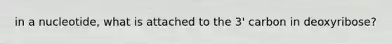 in a nucleotide, what is attached to the 3' carbon in deoxyribose?