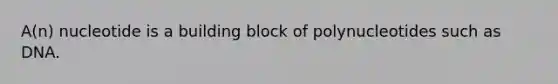 A(n) nucleotide is a building block of polynucleotides such as DNA.