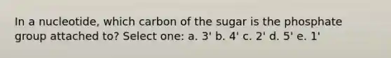 In a nucleotide, which carbon of the sugar is the phosphate group attached to? Select one: a. 3' b. 4' c. 2' d. 5' e. 1'