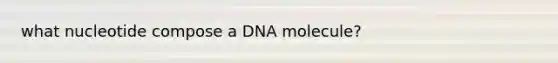 what nucleotide compose a DNA molecule?