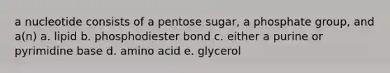 a nucleotide consists of a pentose sugar, a phosphate group, and a(n) a. lipid b. phosphodiester bond c. either a purine or pyrimidine base d. amino acid e. glycerol