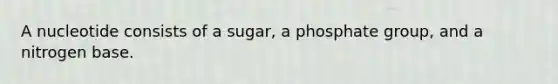 A nucleotide consists of a sugar, a phosphate group, and a nitrogen base.