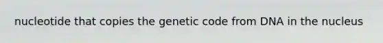 nucleotide that copies the genetic code from DNA in the nucleus