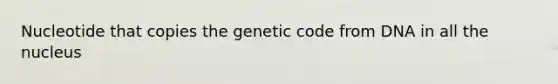 Nucleotide that copies the genetic code from DNA in all the nucleus