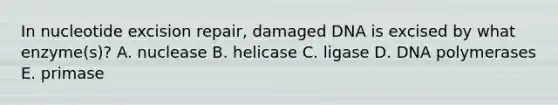 In nucleotide excision repair, damaged DNA is excised by what enzyme(s)? A. nuclease B. helicase C. ligase D. DNA polymerases E. primase