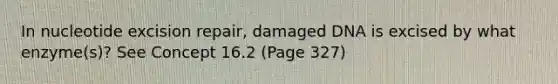 In nucleotide excision repair, damaged DNA is excised by what enzyme(s)? See Concept 16.2 (Page 327)