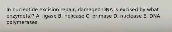 In nucleotide excision repair, damaged DNA is excised by what enzyme(s)? A. ligase B. helicase C. primase D. nuclease E. DNA polymerases