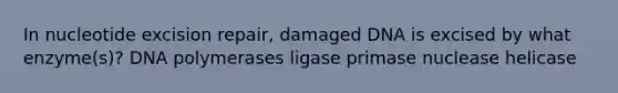 In nucleotide excision repair, damaged DNA is excised by what enzyme(s)? DNA polymerases ligase primase nuclease helicase