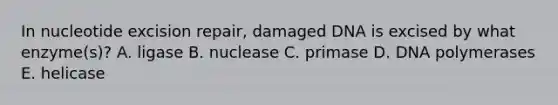 In nucleotide excision repair, damaged DNA is excised by what enzyme(s)? A. ligase B. nuclease C. primase D. DNA polymerases E. helicase