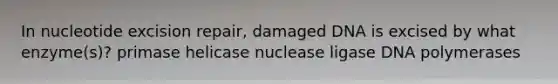 In nucleotide excision repair, damaged DNA is excised by what enzyme(s)? primase helicase nuclease ligase DNA polymerases