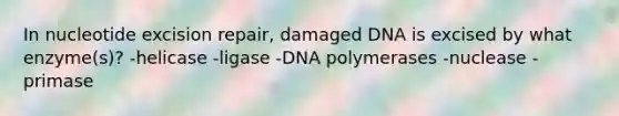 In nucleotide excision repair, damaged DNA is excised by what enzyme(s)? -helicase -ligase -DNA polymerases -nuclease -primase