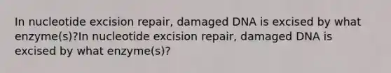 In nucleotide excision repair, damaged DNA is excised by what enzyme(s)?In nucleotide excision repair, damaged DNA is excised by what enzyme(s)?