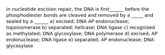 in nucleotide excision repair, the DNA is first______ before the phosphodiester bonds are cleaved and removed by a _____ and sealed by a ______ a) excised; DNA AP endonuclease; topoisomerase b) separated; helicase; DNA ligase c) recognized as methylated; DNA glycosylase; DNA polymerase d) excised; AP endonuclease; DNA ligase e) separated; AP endonuclease; DNA glycosylase