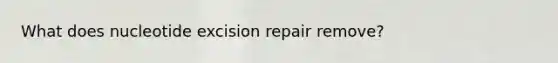 What does nucleotide excision repair remove?