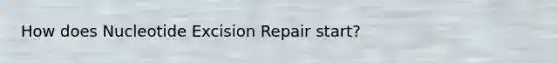 How does Nucleotide Excision Repair start?