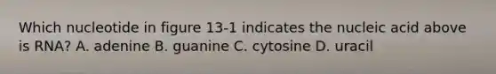 Which nucleotide in figure 13-1 indicates the nucleic acid above is RNA? A. adenine B. guanine C. cytosine D. uracil