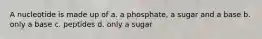 A nucleotide is made up of a. a phosphate, a sugar and a base b. only a base c. peptides d. only a sugar