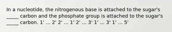 In a nucleotide, the nitrogenous base is attached to the sugar's _____ carbon and the phosphate group is attached to the sugar's _____ carbon. 1' ... 2' 2' ... 1' 2' ... 3' 1' ... 3' 1' ... 5'