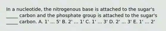 In a nucleotide, the nitrogenous base is attached to the sugar's _____ carbon and the phosphate group is attached to the sugar's _____ carbon. A. 1' ... 5' B. 2' ... 1' C. 1' ... 3' D. 2' ... 3' E. 1' ... 2'