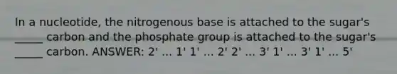 In a nucleotide, the nitrogenous base is attached to the sugar's _____ carbon and the phosphate group is attached to the sugar's _____ carbon. ANSWER: 2' ... 1' 1' ... 2' 2' ... 3' 1' ... 3' 1' ... 5'