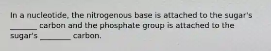 In a nucleotide, the nitrogenous base is attached to the sugar's _______ carbon and the phosphate group is attached to the sugar's ________ carbon.