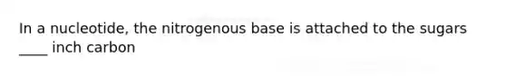 In a nucleotide, the nitrogenous base is attached to the sugars ____ inch carbon