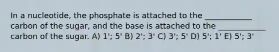 In a nucleotide, the phosphate is attached to the ____________ carbon of the sugar, and the base is attached to the ____________ carbon of the sugar. A) 1'; 5' B) 2'; 3' C) 3'; 5' D) 5'; 1' E) 5'; 3'