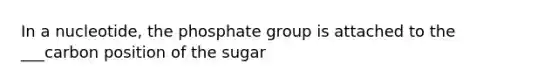 In a nucleotide, the phosphate group is attached to the ___carbon position of the sugar