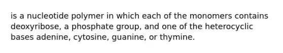 is a nucleotide polymer in which each of the monomers contains deoxyribose, a phosphate group, and one of the heterocyclic bases adenine, cytosine, guanine, or thymine.