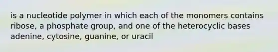 is a nucleotide polymer in which each of the monomers contains ribose, a phosphate group, and one of the heterocyclic bases adenine, cytosine, guanine, or uracil