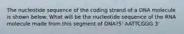 The nucleotide sequence of the coding strand of a DNA molecule is shown below. What will be the nucleotide sequence of the RNA molecule made from this segment of DNA?5' AATTCGGG 3'