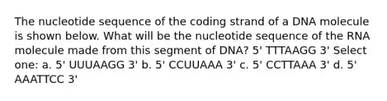 The nucleotide sequence of the coding strand of a DNA molecule is shown below. What will be the nucleotide sequence of the RNA molecule made from this segment of DNA? 5' TTTAAGG 3' Select one: a. 5' UUUAAGG 3' b. 5' CCUUAAA 3' c. 5' CCTTAAA 3' d. 5' AAATTCC 3'